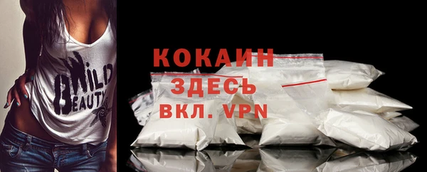 индика Волоколамск