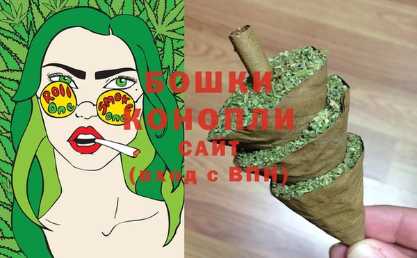 индика Волоколамск