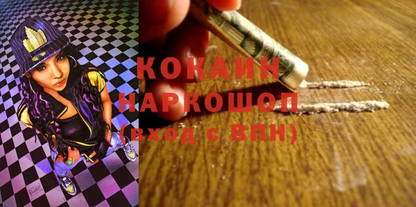 индика Волоколамск