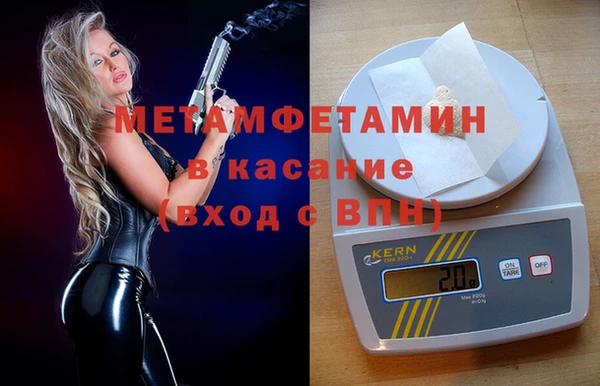 индика Волоколамск
