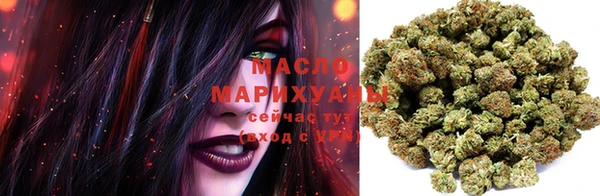 индика Волоколамск