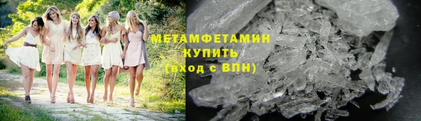 индика Волоколамск