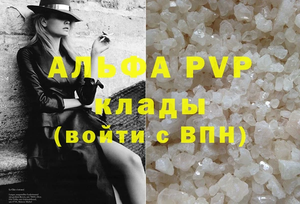 индика Волоколамск
