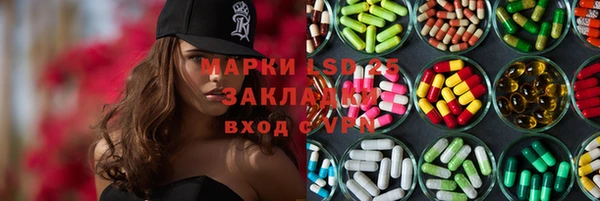индика Волоколамск