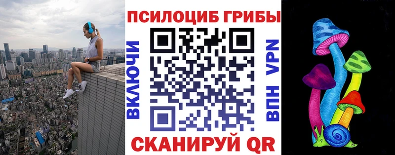 Галлюциногенные грибы прущие грибы  Купить  Купино 